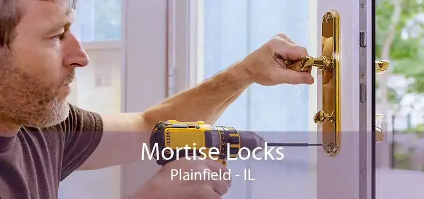 Mortise Locks Plainfield - IL